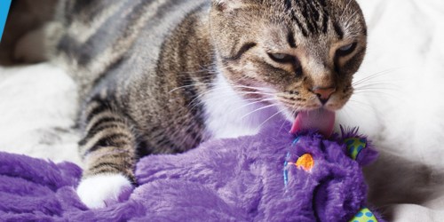 Purring Plush Sleeping Sloth Cat Toy Only $5.99 (Regularly $15)