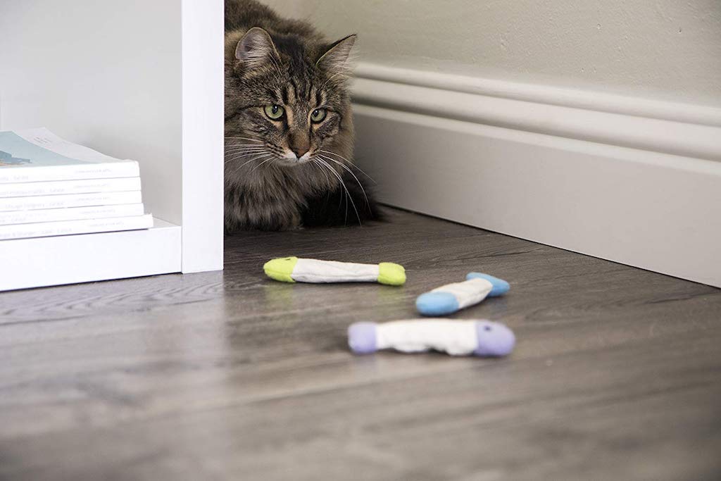 cat playing with SmartyKat Fish Flop Catnip Cat Toys