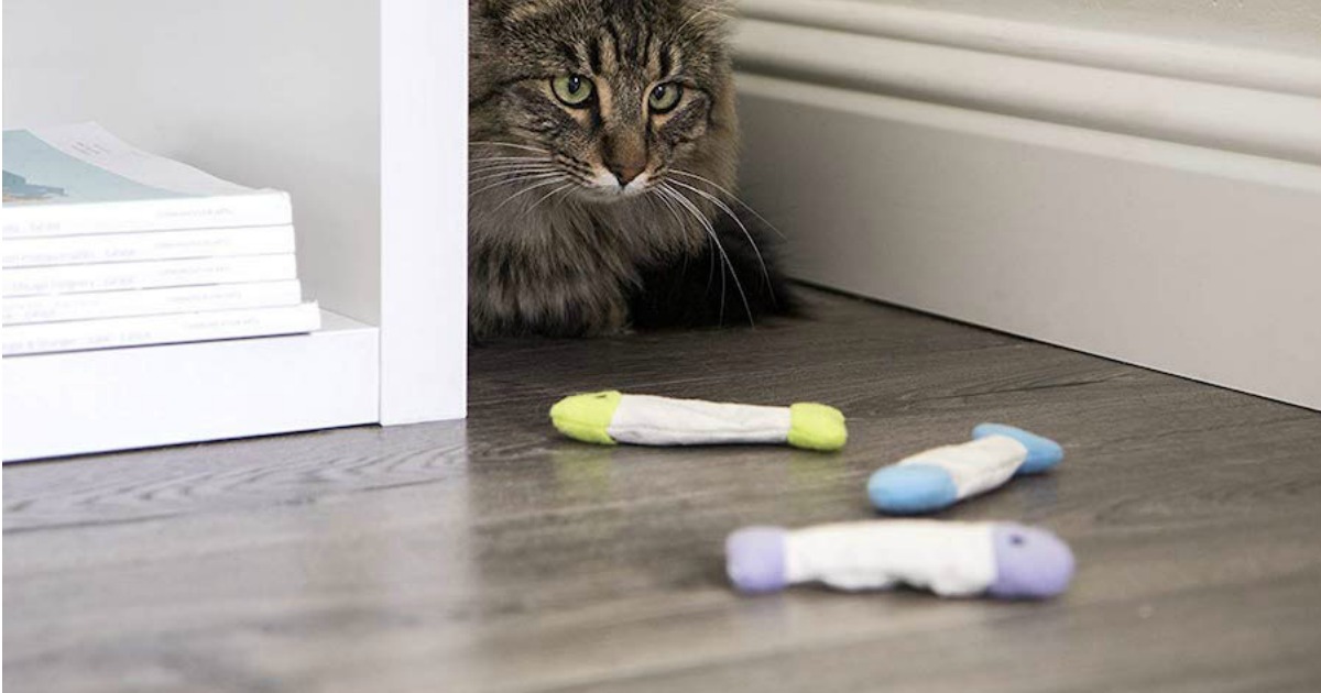 cat playing with SmartyKat Fish Flop Catnip Cat Toys