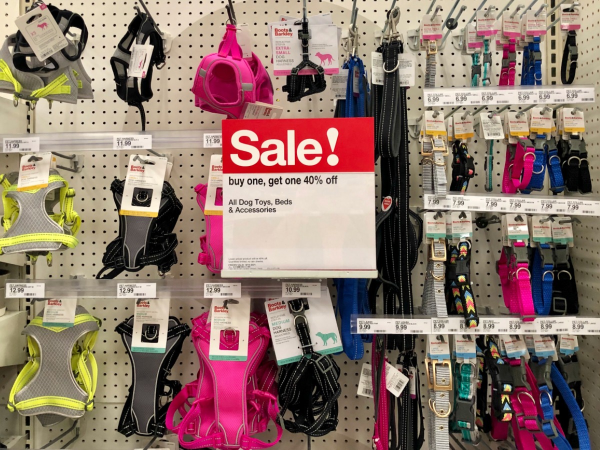 Target Dog Leashes and Harnesses
