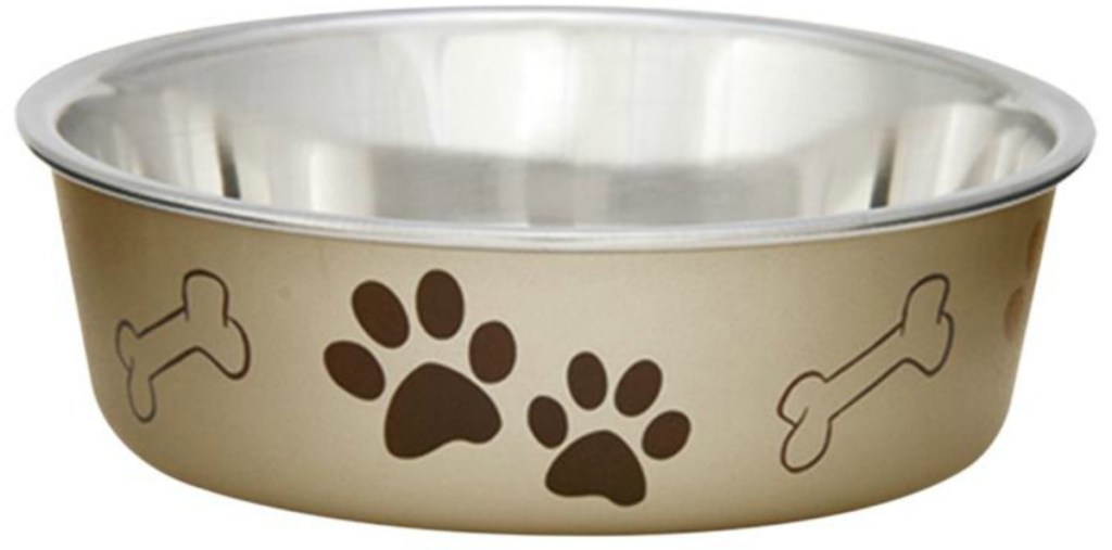 gold dog food bowl with paw prints