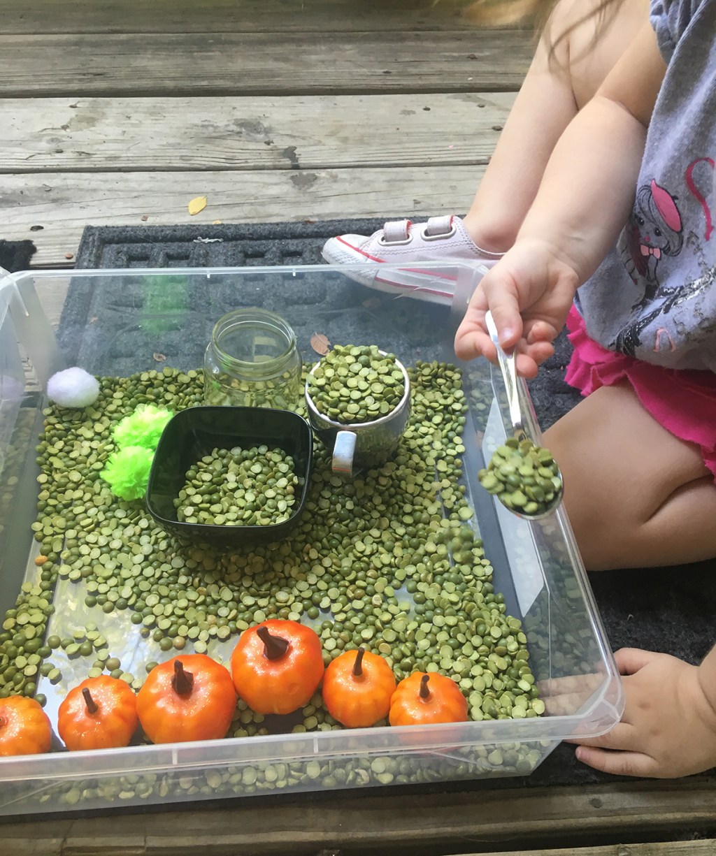 Child playing with fall seasonal sensory bin