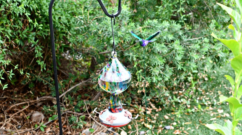 hummingbird feeder hanging on shepherd hook