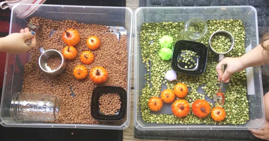 Sensory bins with pumpkins and dried lentils