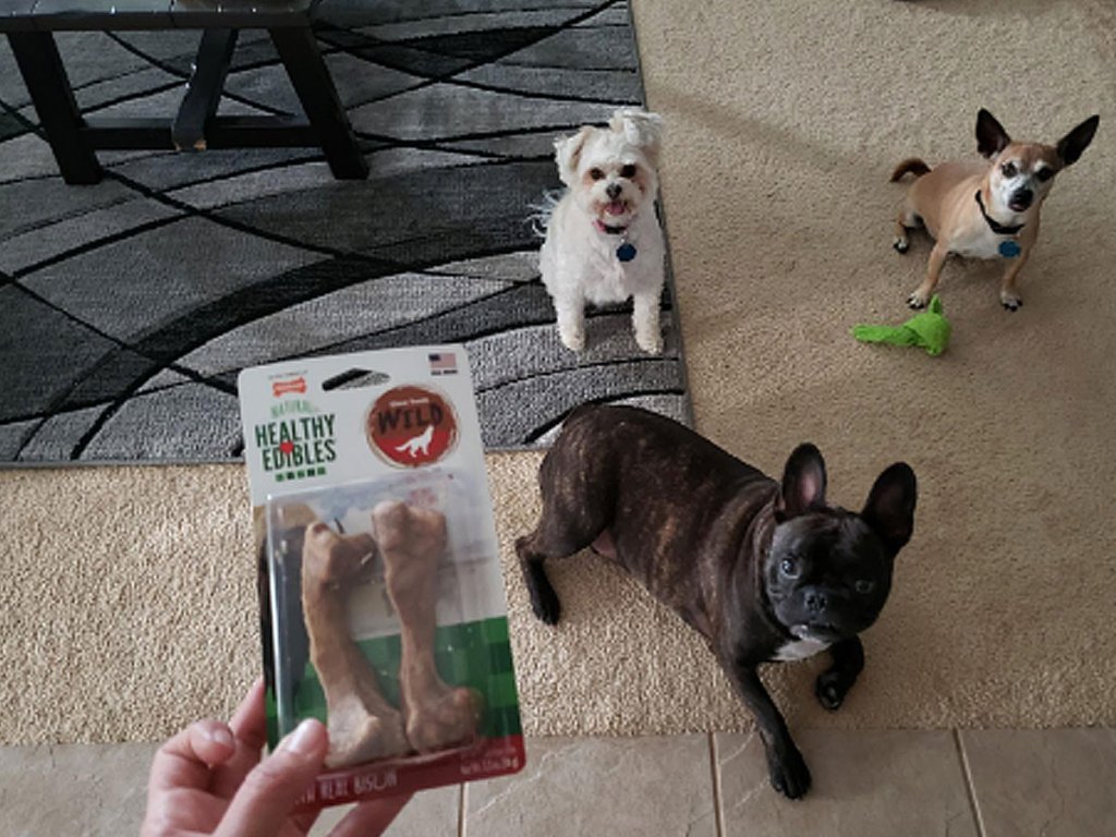 nylabones healthy edibles treats