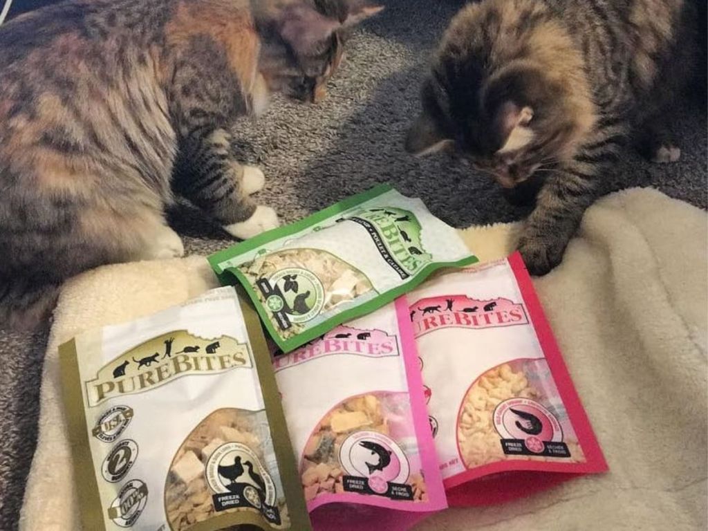 purebites cat treats with cats