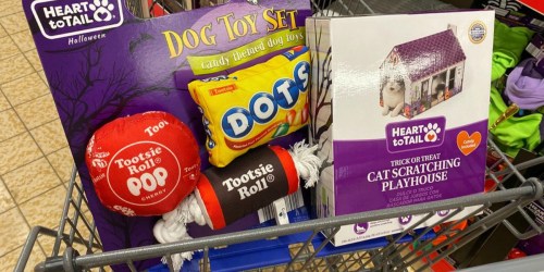 ALDI Halloween Pet Costumes, Toys & Houses