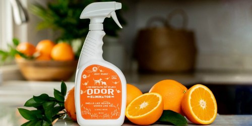 Angry Orange Odor Eliminator Spray Only $14 Shipped