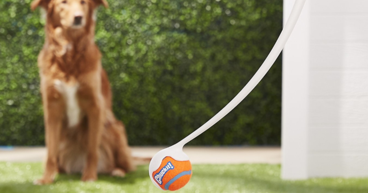 Chuckit! Ball Launcher