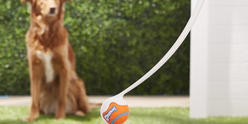 Chuckit! Ball Launcher as Low as $3.99 (Regularly $15) + More Pet Deals