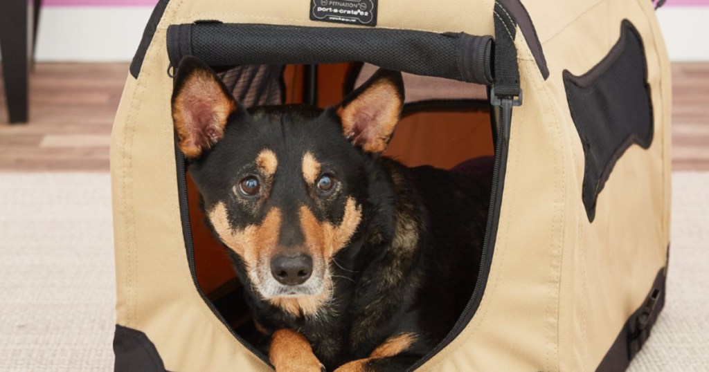 Petnation Port-a-Crate