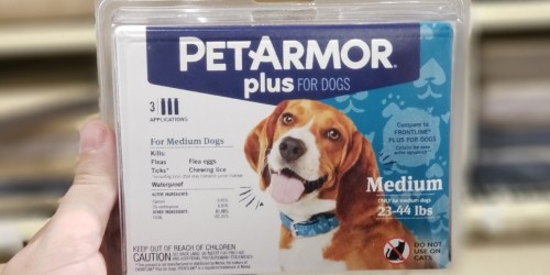 40% Off PetArmor and Frontline Flea & Tick Prevention for Pets at Amazon