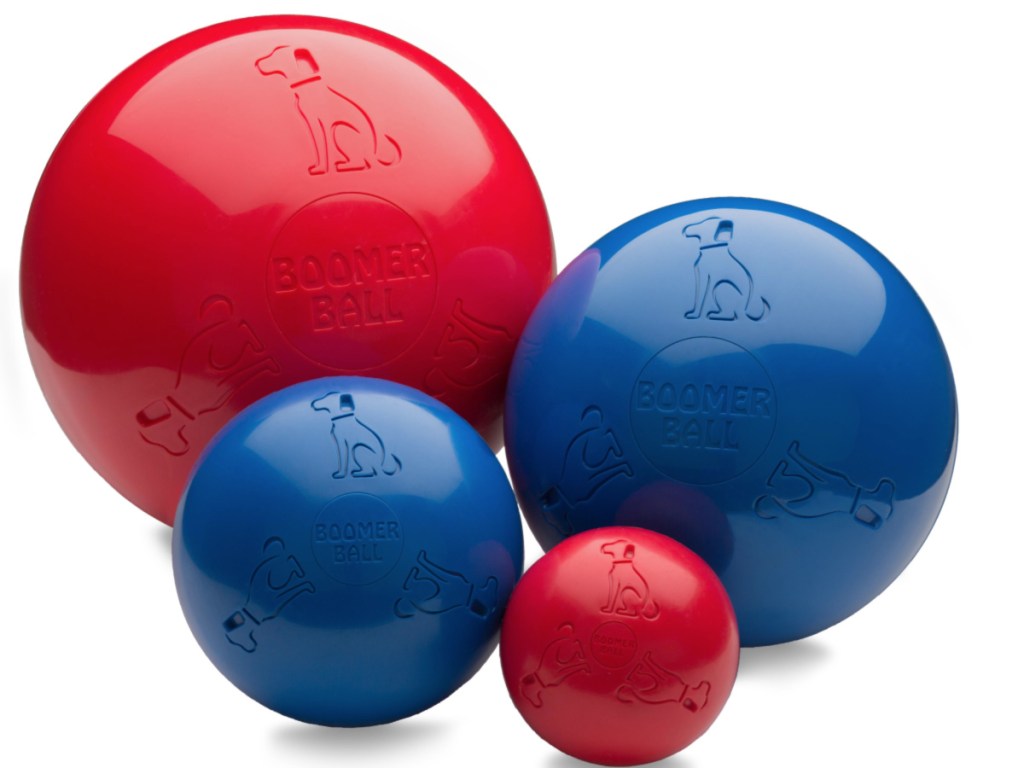 Boomer Balls for Dogs