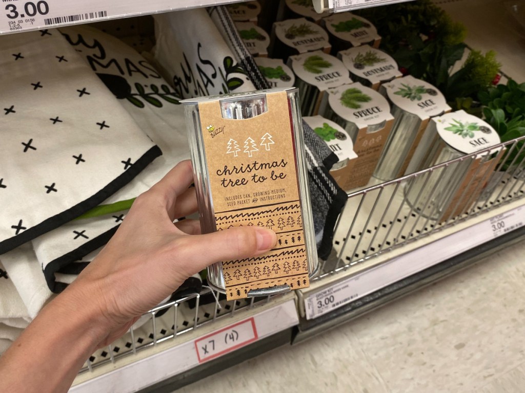 Spruce Grow Kit at Target 