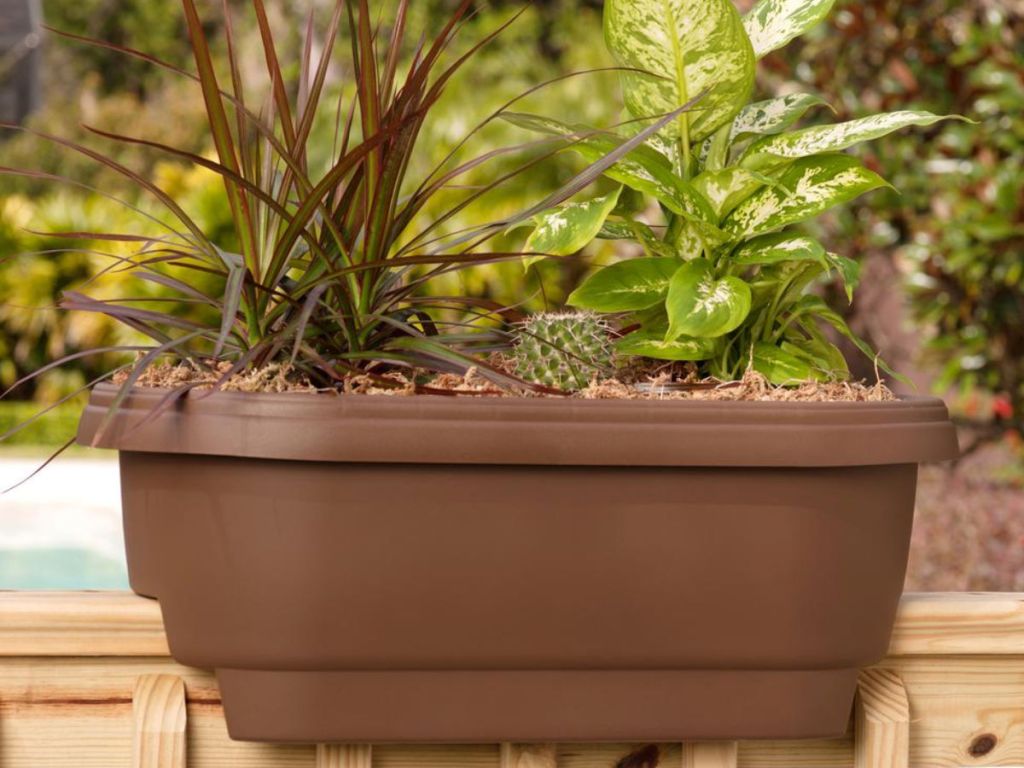 Bloem Deck Rail Planter 24 in. Chocolate Plastic Deck Rail Planter