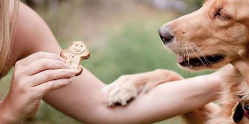 Buddy Biscuits Soft & Chewy Dog Treats Only $1.62 Shipped (Regularly $7) at Amazon