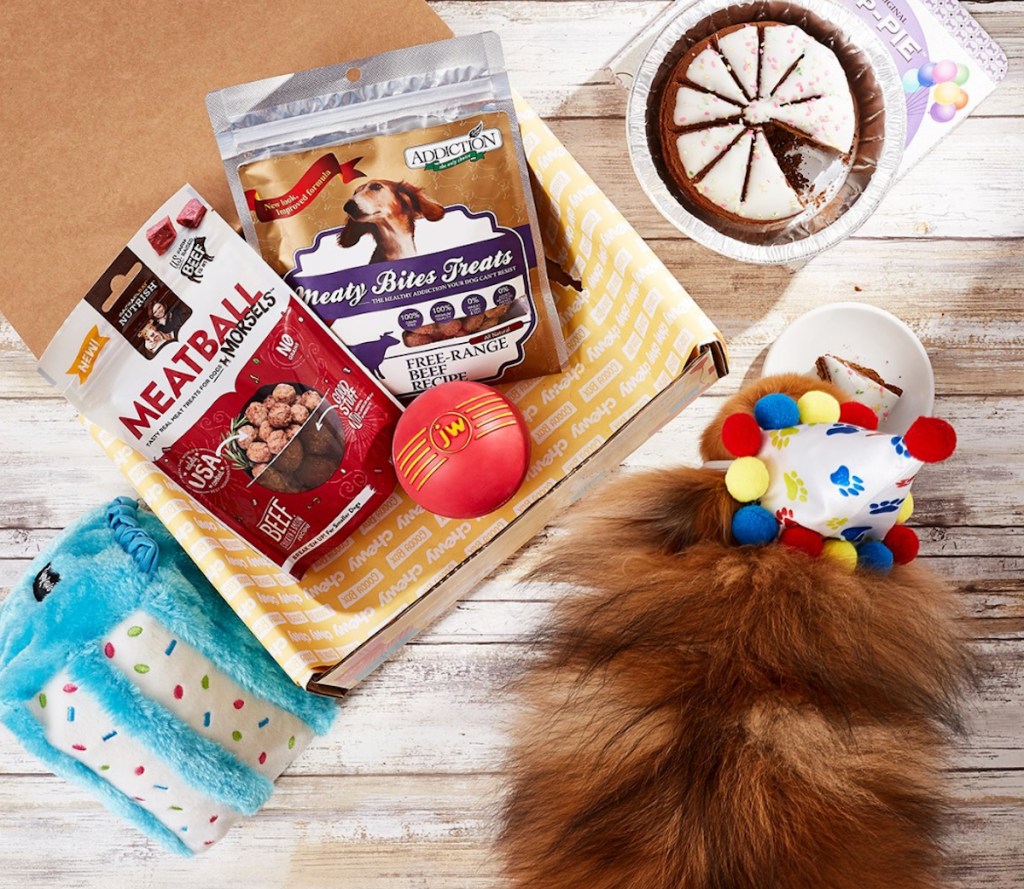 dog smelling chewy birthday goodie box