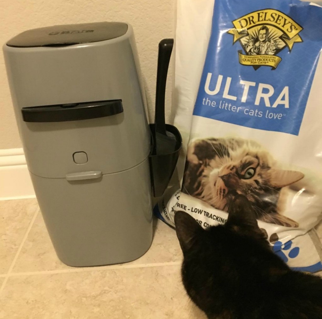 liter genie, Dr. Elsey's cat litter and black cat