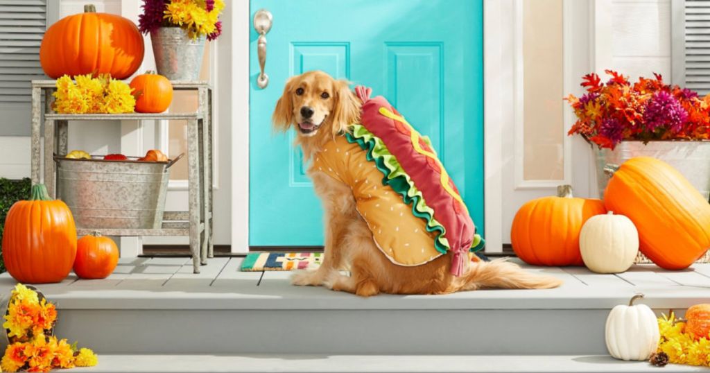 Frisco Hotdog Large Dog Costume