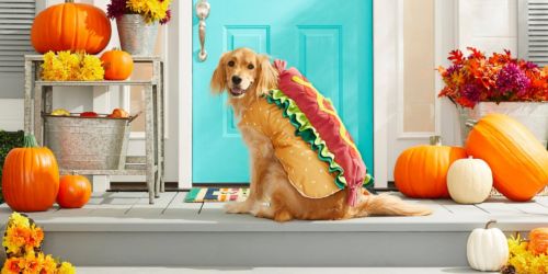 Up to 35% Off Halloween Pet Costumes at Chewy.com | Hot Dog, Star Wars & More