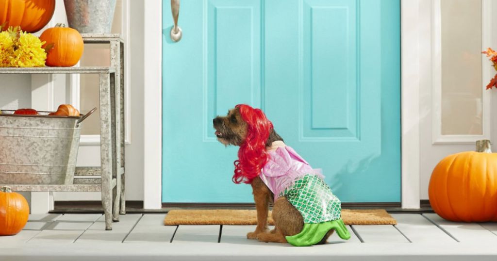 Frisco Mermaid Dog & Cat Costume
