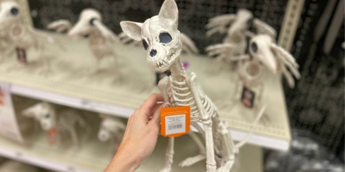 Up to 50% Off Hyde & Eek Halloween Decor at Target | Skeletons, Ghouls, & More