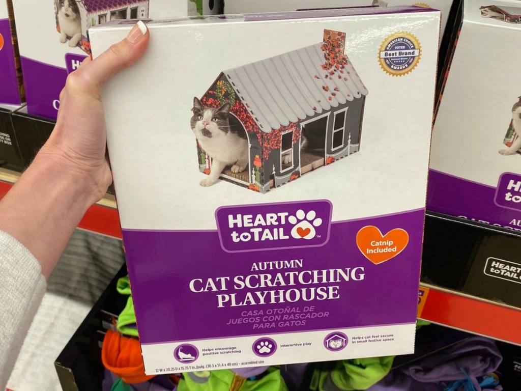 hand holding box with cat house in it