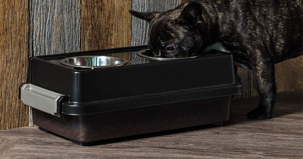 dog eating food from 2-bowl elevated feeder