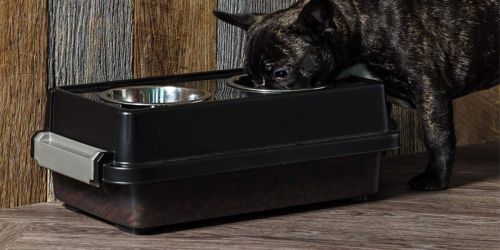 Up to 60% Off Elevated 2-Bowl Dog Feeders w/ Airtight Storage at Amazon