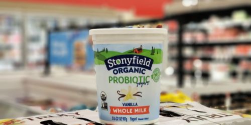 Stonyfield Organic Yogurt Quart Only $1.39 After Cash Back at Target