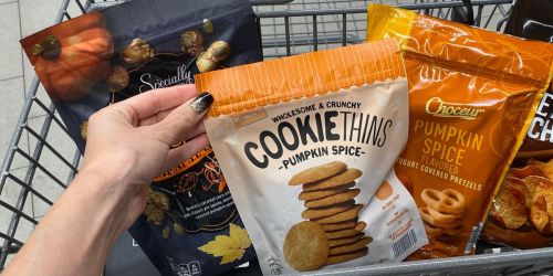 13 Pumpkin Grocery Items to Snag at ALDI | Pumpkin Cookies, Pumpkin Ice Cream & More