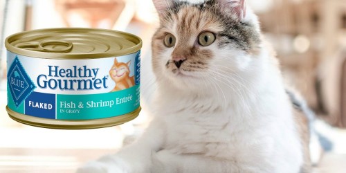 Blue Buffalo Wet Cat Food 24 Cans as Low as $13.48 at Amazon | Just 56¢ Per Can