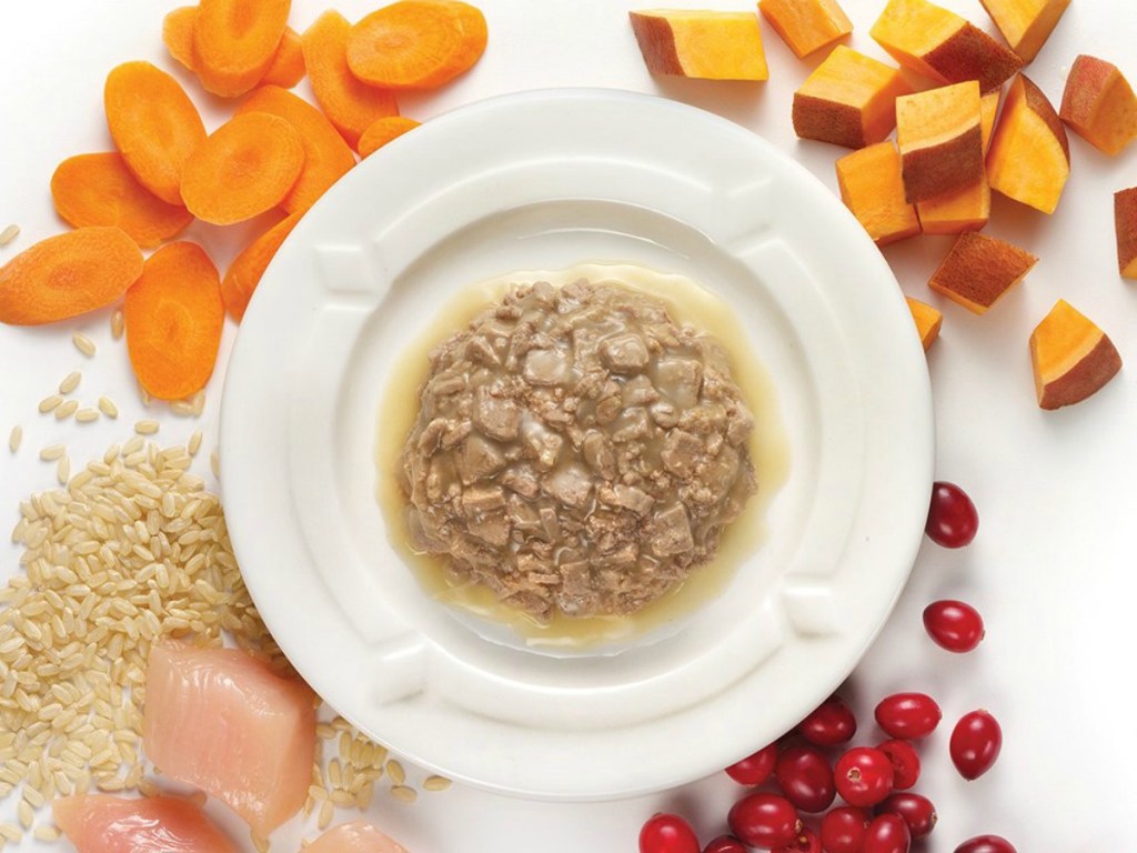 bowl with cat food and vegetables around it