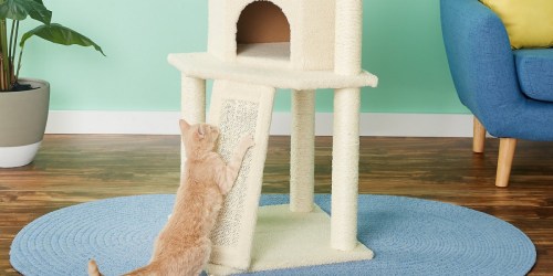 Frisco 52″ Cream Cat Tree Only $39.99 Shipped (Regularly $55)