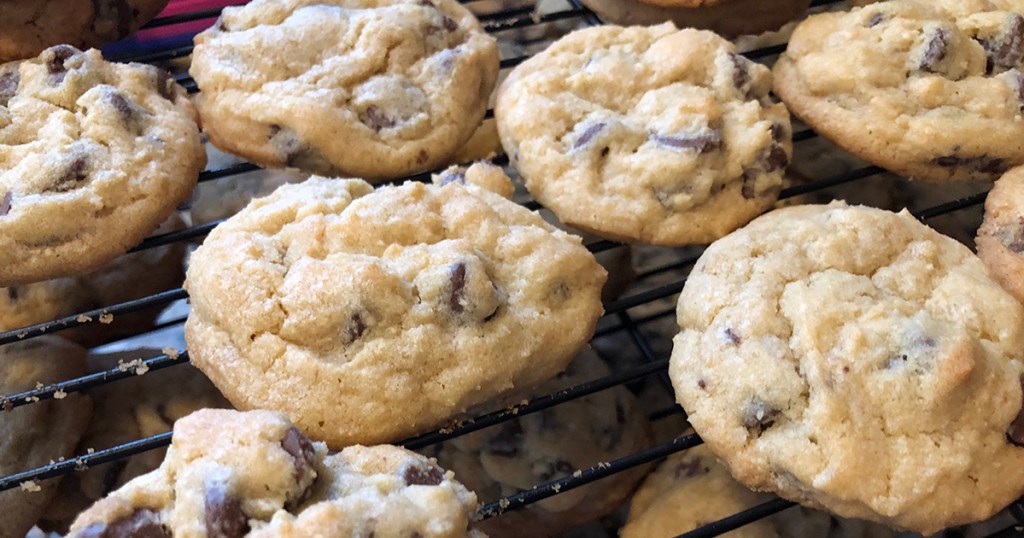 Homemade chocolate chip cookies