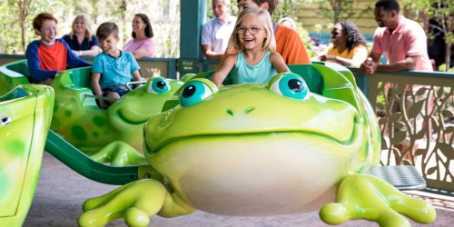 FREE Season Pass for Dollywood Theme Parks for Preschoolers Born in 2017-2018