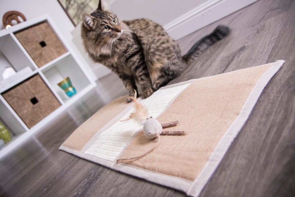 Petlink Scratcher Mat