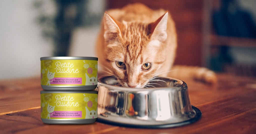 petite cuisine cat food with cat eating from a bowl