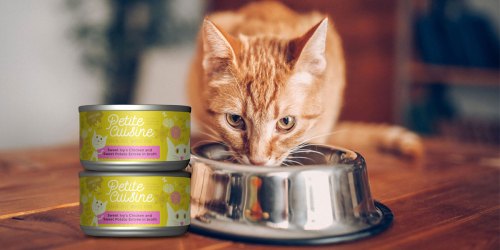 Petite Cuisine Grain-Free Wet Cat Food 24-Count Only $10.56 at Amazon (Just 44¢ Per Can)