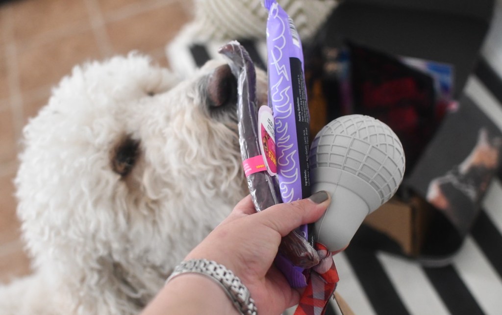 dog smelling toys and treats from super chewer subscription box