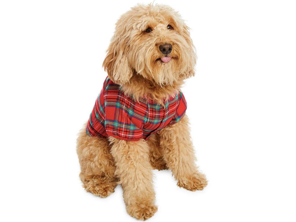 jcpenney dog plaid pajama