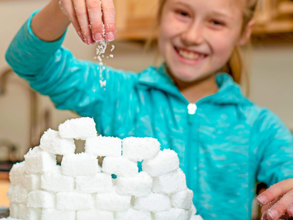 Steve Spangler Science Insta-Snow Powder