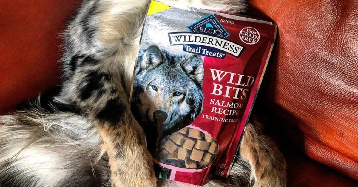 Blue Buffalo Dog treats pouch held by puppy's arms