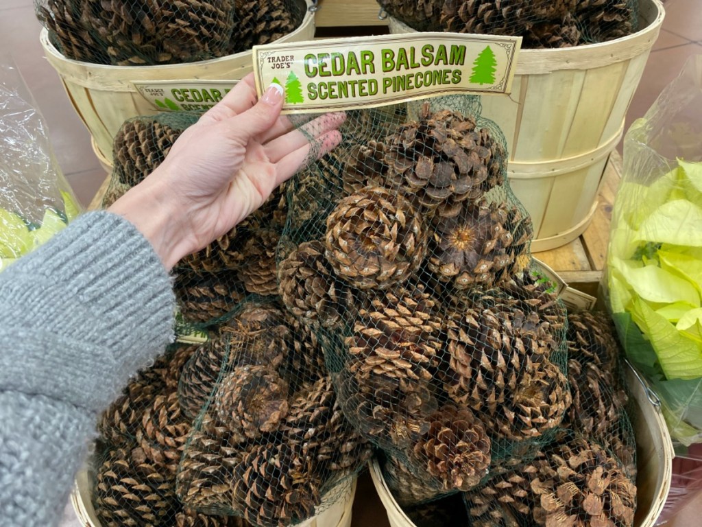 hand holding bag of pinecones