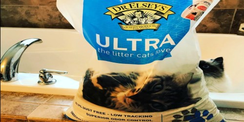 Dr. Elsey’s Premium Clumping Cat Litter 40-Pound Bag Only $8.87 Shipped at Amazon