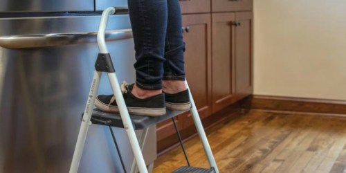 Gorilla Step Stool Ladder Only $14.88 on HomeDepot.com