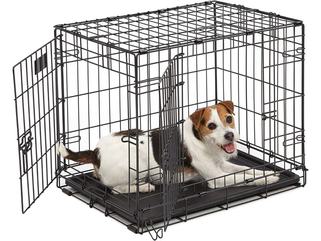 dog-laying-in-crate