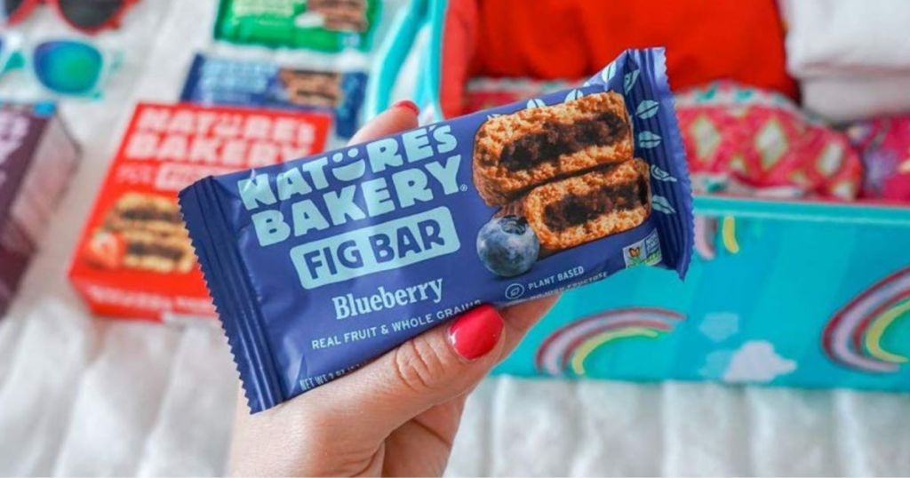 Nature's Bakery Fig Bar Blueberry