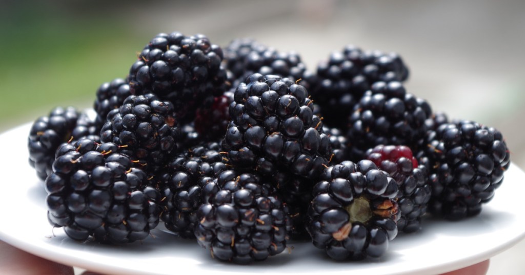 blackberries on a plate