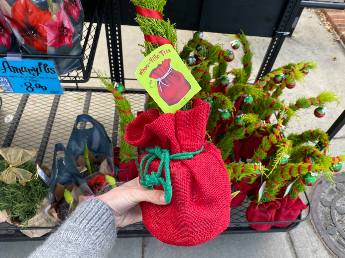hand holding Grinch-inspired Whoo-Ville Christmas Tree at Trader Joe's